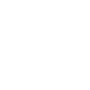 Search Icon